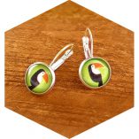 Toucan Bird Earrings